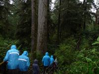 an der Westkueste..........regnet es ? 