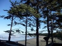 Abschied von Pacific Rim National Park