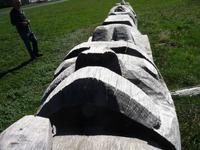 nicht fertiggestellter Geschichtserzaehlender Pfahl