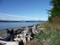 Sitzen und Ergehen lassen 