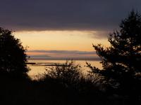 Morgenstimmung auf Vancouver Island