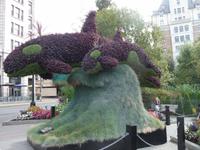 Blumen Orcas in Victoria