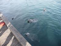 mmm da gibts sicher was