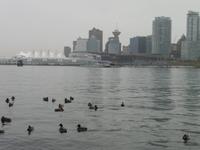 Downtown und Canada Place