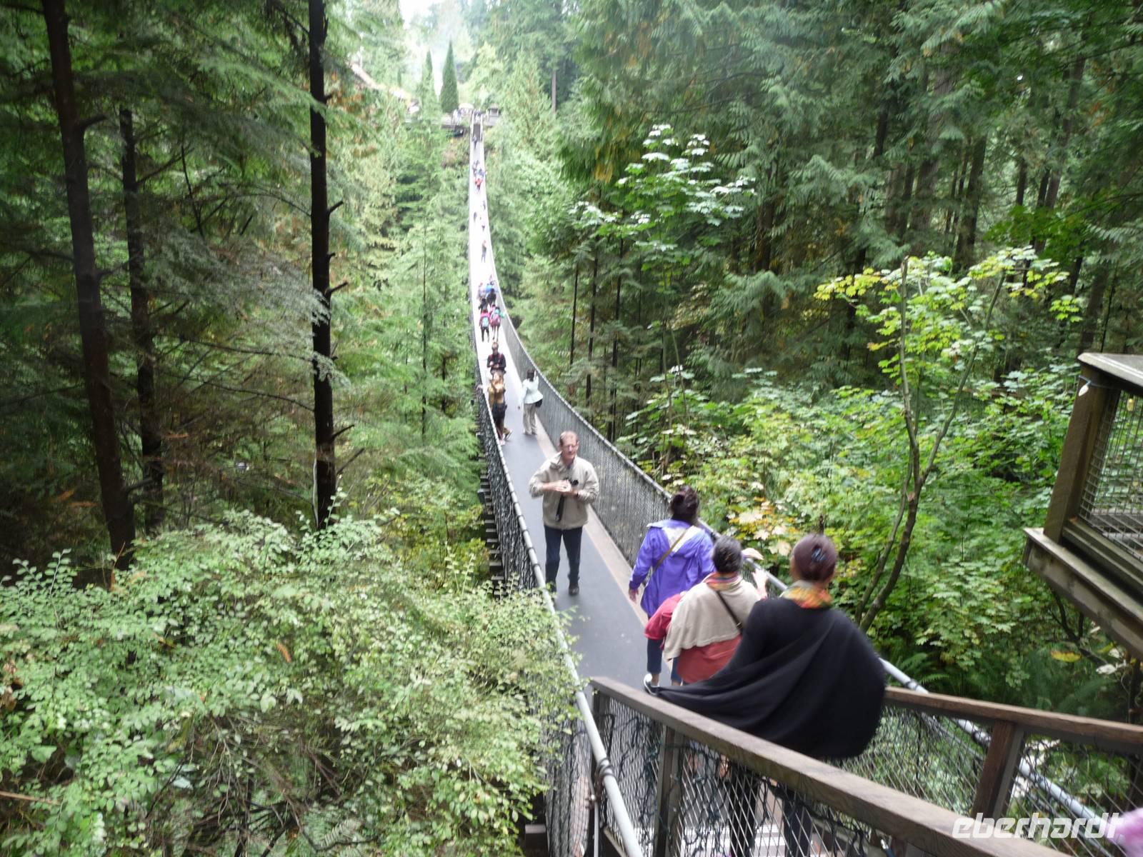 137 Meter ohne anzuhalten ?