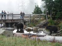 Grinder und Coola zeigen sich 