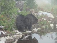 wer ist denn das schon wieder  !