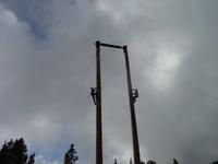 die Holzfaeller Show