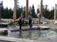 die Holzfaeller Show