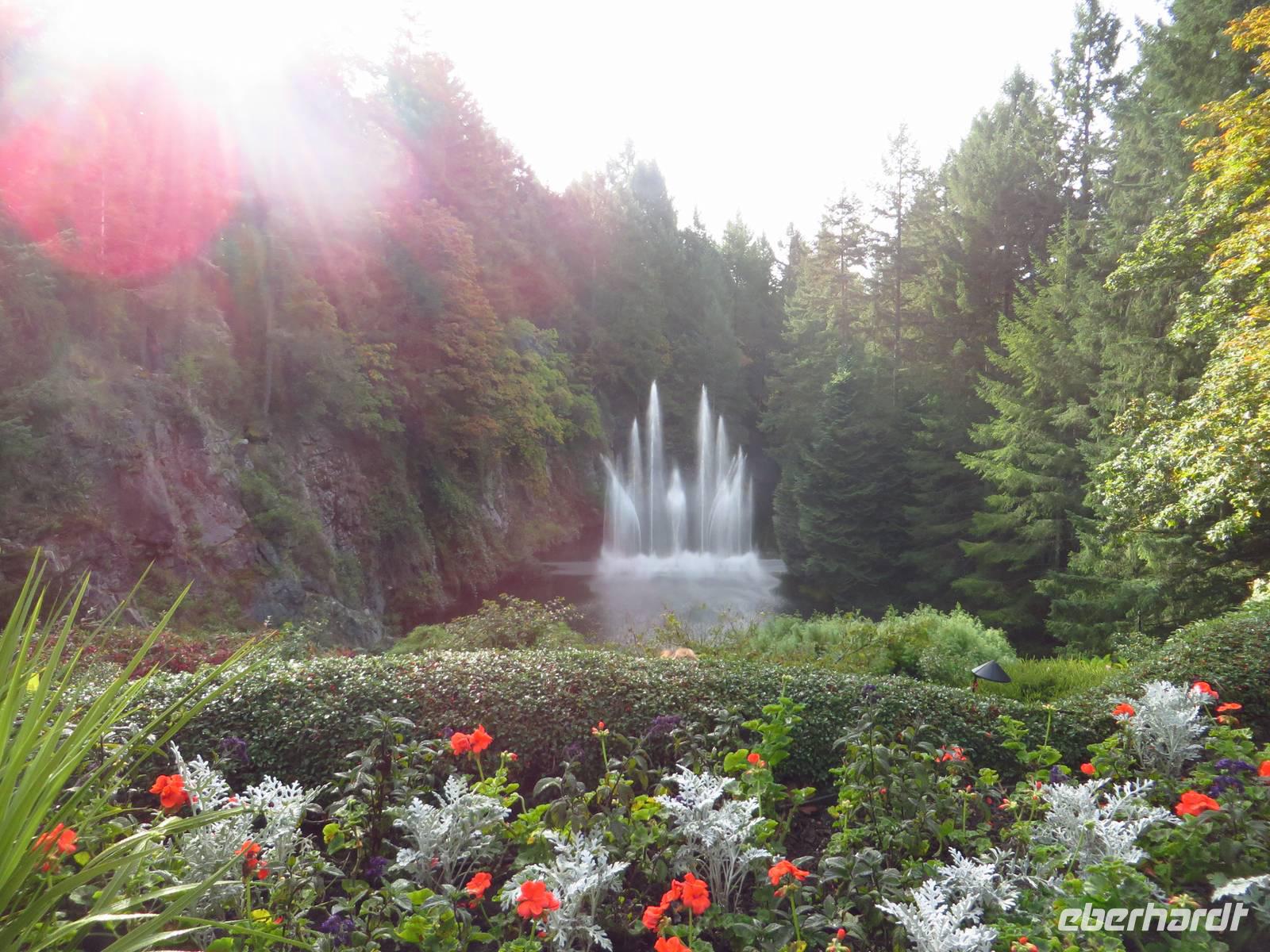Butchards Garden Springbrunnen