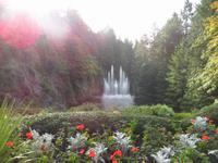 Butchards Garden Springbrunnen