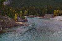 Bow River in den Rocky Mountains