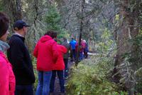 Wanderung zum Wasserfall 