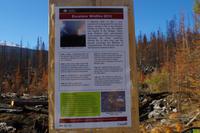 Waldbrand im Juli 2015