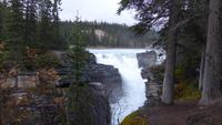 Jasper NP - Athabasca Wasserfall