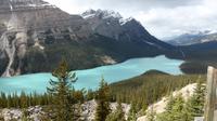 Peyto Lake