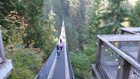 Capilano Suspension Park - Hängebrücke