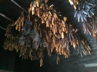 083 Sainte-Marie-among-the-Hurons