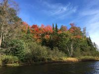 111 Kanutour im Algonquin Park