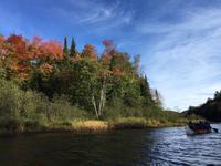 112 Kanutour im Algonquin Park