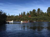 115 Kanutour im Algonquin Park
