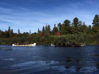 116 Kanutour im Algonquin Park