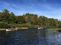 120 Kanutour im Algonquin Park
