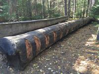 168 Algonquin Park - Holzfällermuseum