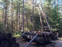 169 Algonquin Park - Holzfällermuseum