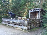 171 Algonquin Park - Holzfällermuseum