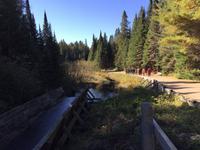 173 Algonquin Park - Holzfällermuseum