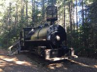 175 Algonquin Park - Holzfällermuseum