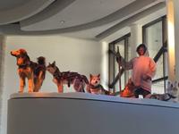 181 Ottawa - Naturkundemuseum