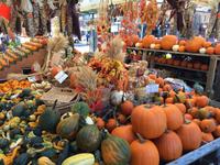 194 Ottawa - Byward Market