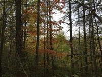 329 Wandern am Lac Taureau