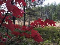 332 Wandern am Lac Taureau