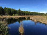 335 Wandern am Lac Taureau