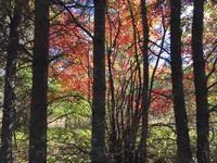 336 Wandern am Lac Taureau