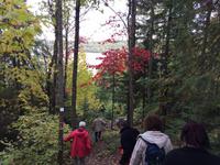 340 Wandern am Lac Taureau