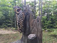 361 Canyon Sainte-Anne