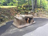 363 Canyon Sainte-Anne