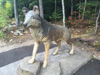 364 Canyon Sainte-Anne