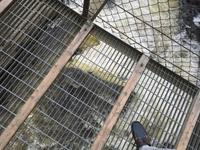 384 Canyon Sainte-Anne