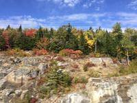 395 Indian Summer in Quebec