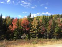 396 Indian Summer in Quebec