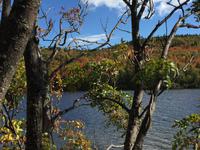 405 Indian Summer in Quebec