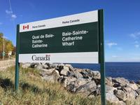 418 Walbeobachtung im St. Lorenz Strom