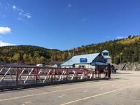 419 Walbeobachtung im St. Lorenz Strom