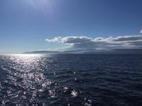 421 Walbeobachtung im St. Lorenz Strom