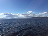 422 Walbeobachtung im St. Lorenz Strom